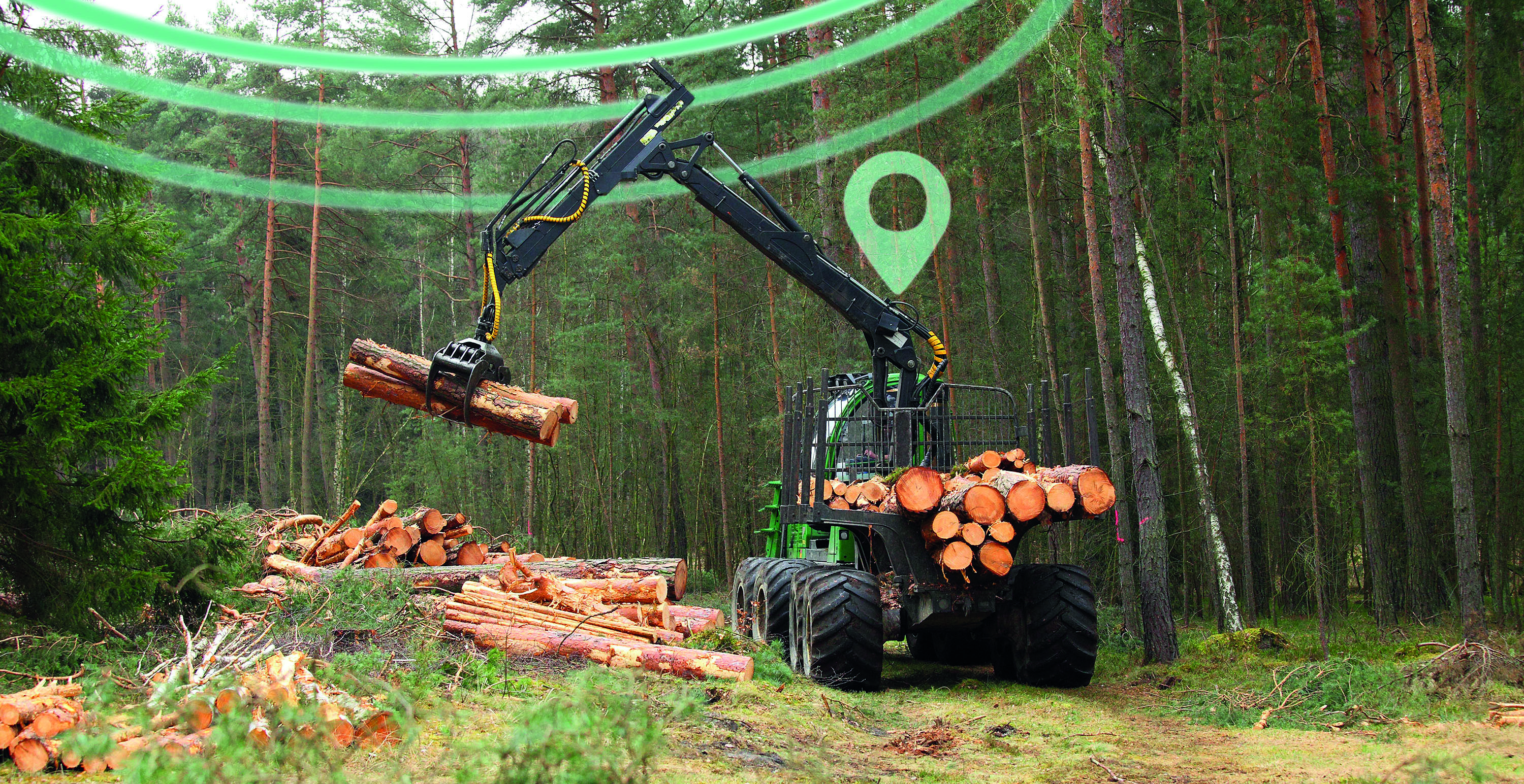 The harvester working in a forest