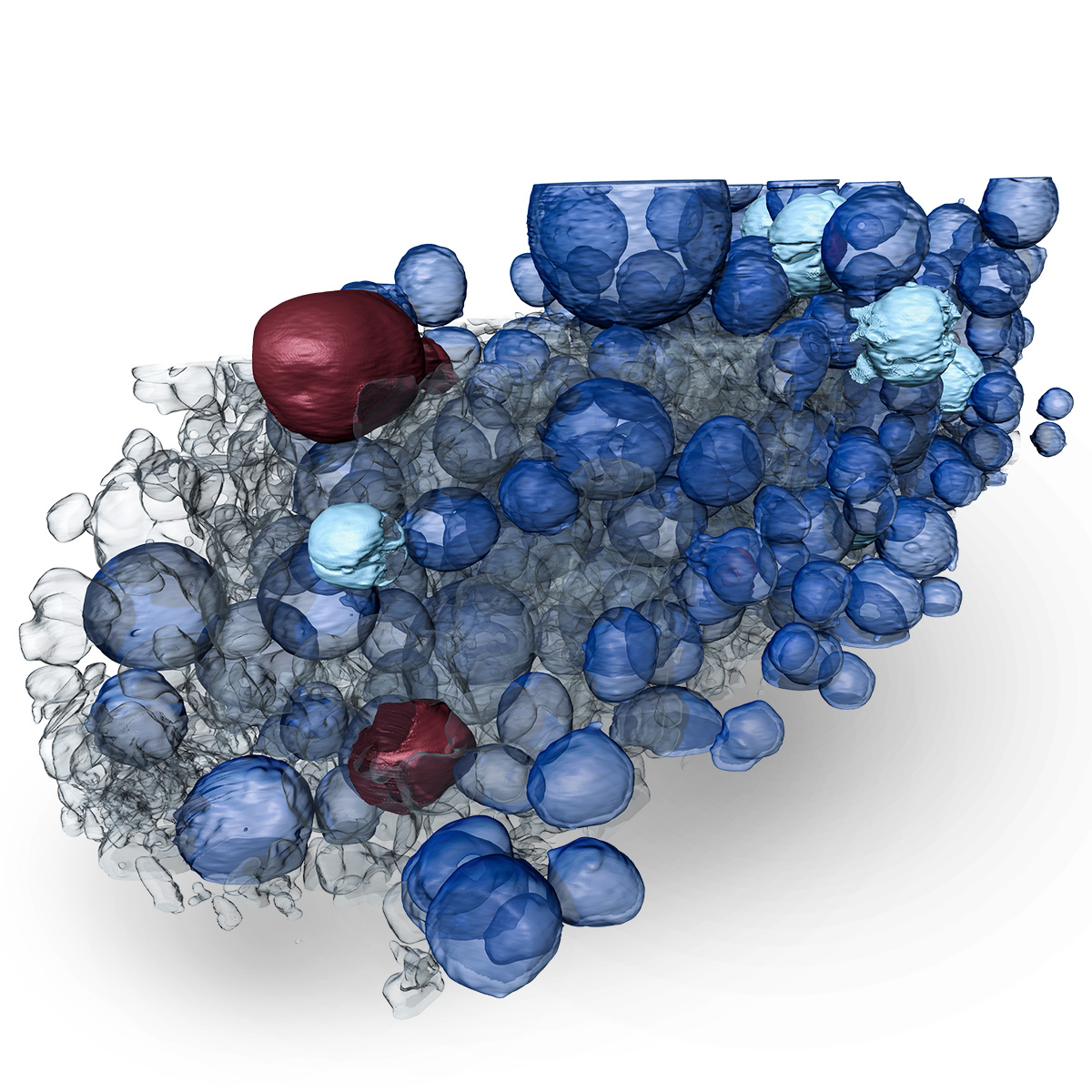 3D analysis with microscopic resolution